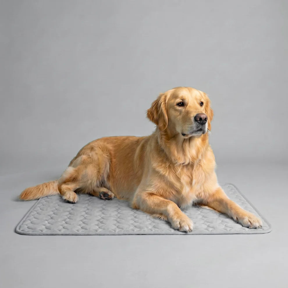 ChillBuddy™ Cooling Pet Mat — No Electricity Needed | Dogs & Cats
