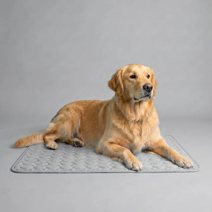 ChillBuddy™ Cooling Pet Mat — No Electricity Needed | Dogs & Cats