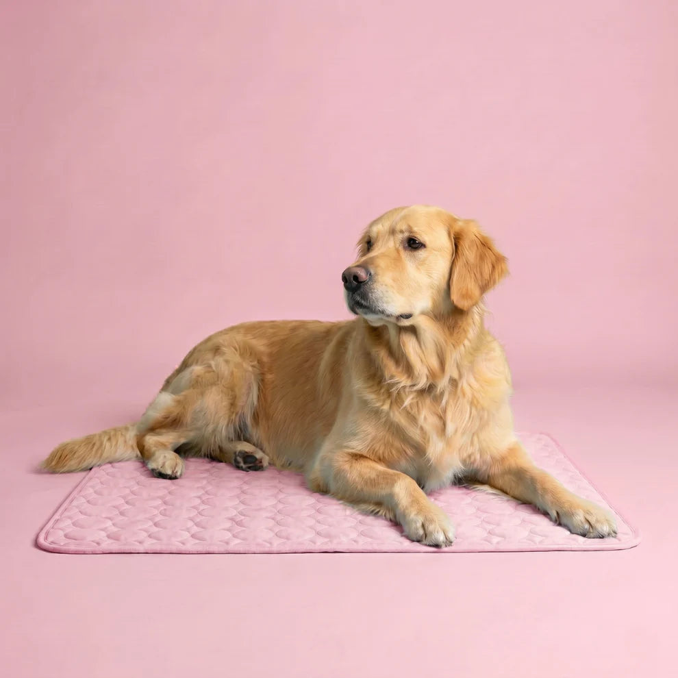 ChillBuddy™ Cooling Pet Mat — No Electricity Needed | Dogs & Cats