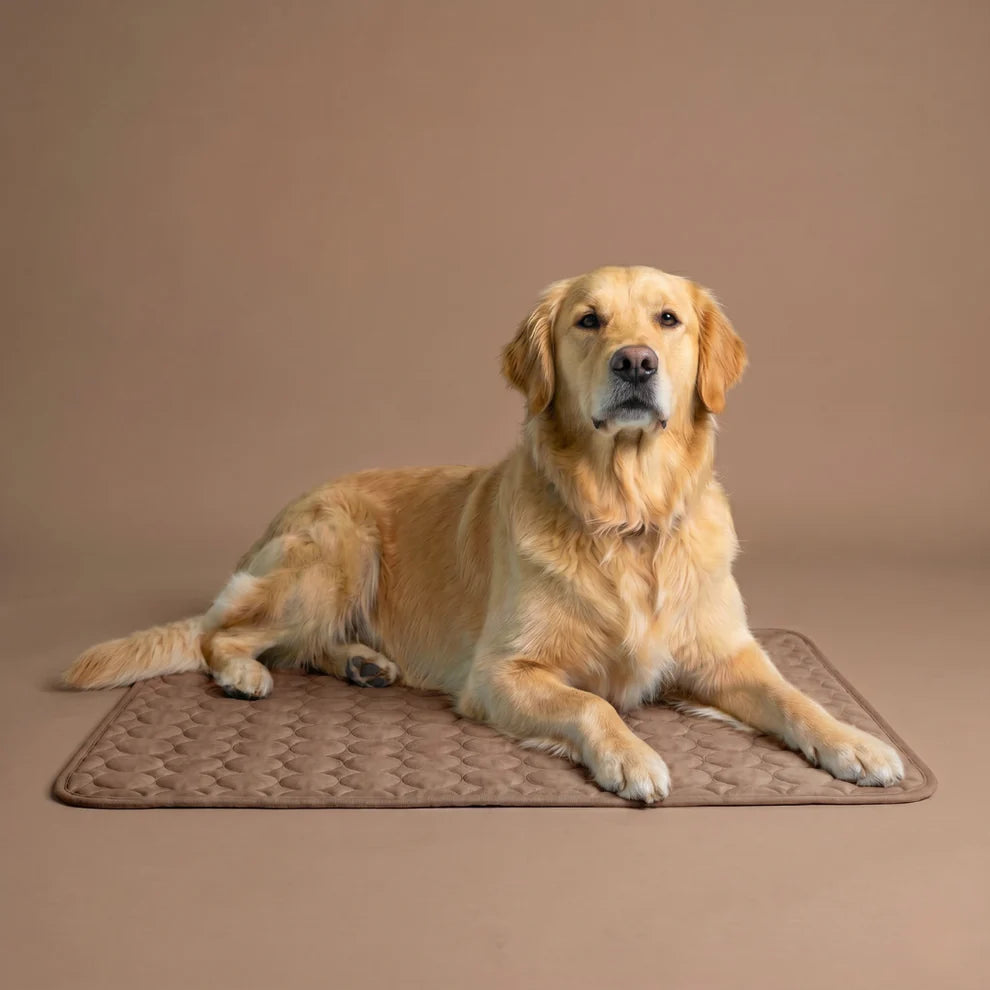 ChillBuddy™ Cooling Pet Mat — No Electricity Needed | Dogs & Cats