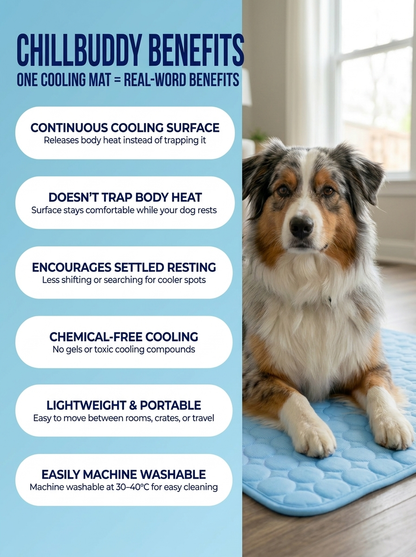 ChillBuddy™ Cooling Pet Mat — No Electricity Needed | Dogs & Cats