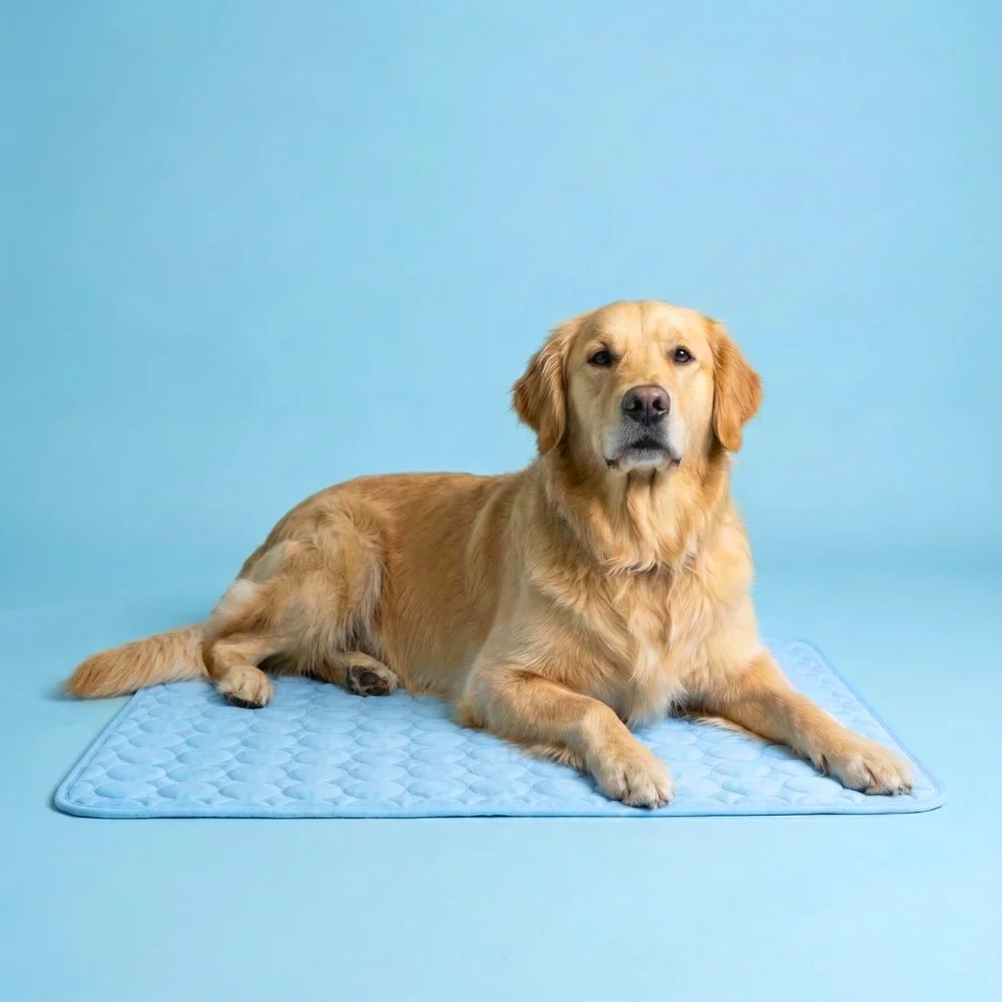 ChillBuddy™ Cooling Pet Mat — No Electricity Needed | Dogs & Cats