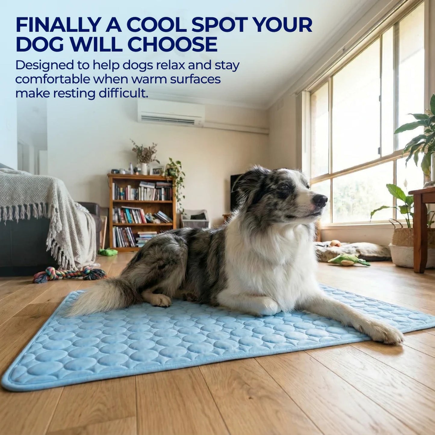 ChillBuddy™ Cooling Pet Mat — No Electricity Needed | Dogs & Cats