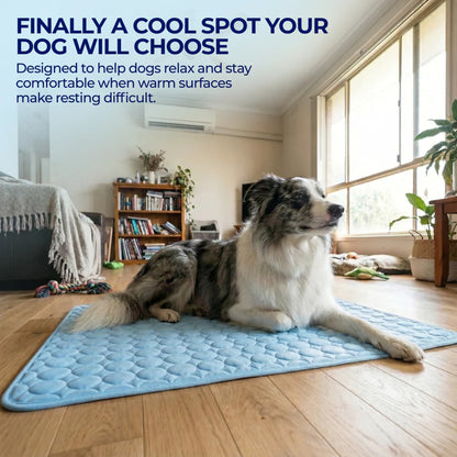 ChillBuddy™ Cooling Pet Mat — No Electricity Needed | Dogs & Cats